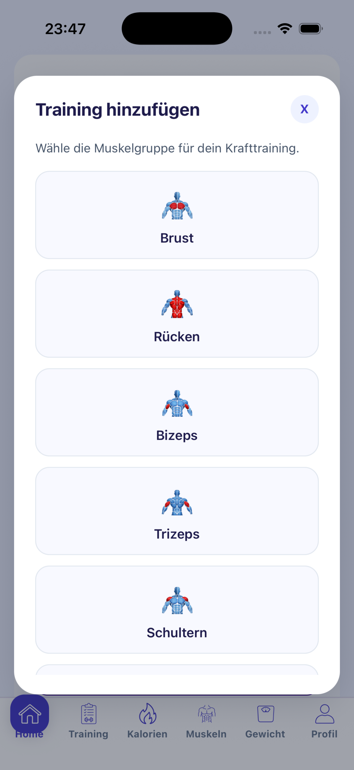 Muskelgruppen Auswahl